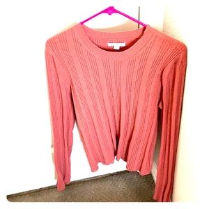 American Eagle Bodycon Sweater